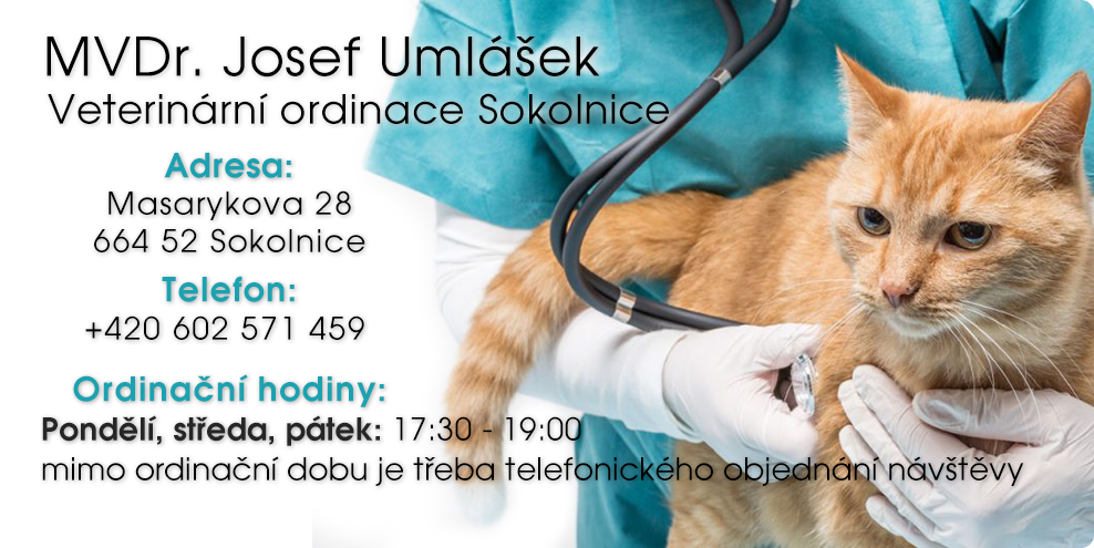 Veterina Sokolnice